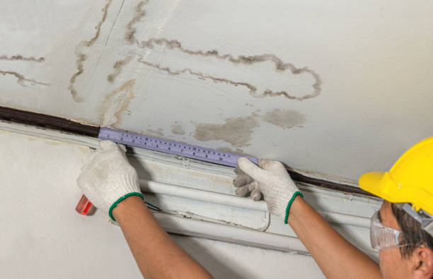 Reliable Mold Remediation contractor in Lucas, TX by Water Damage Irwin